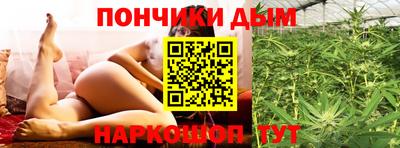 гидра Кимры