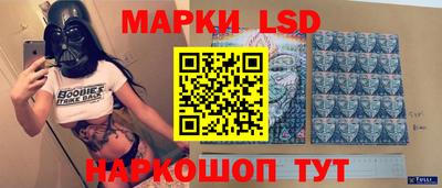 гашик Кингисепп
