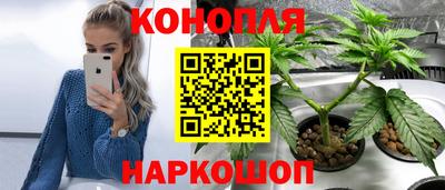 PSILOCYBIN Комсомольск-на-Амуре