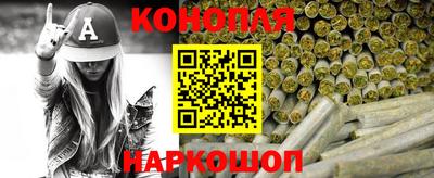 гашик Кингисепп