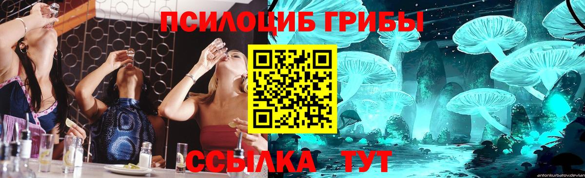 Псилоцибиновые грибы MAGIC MUSHROOMS Кирово-Чепецк