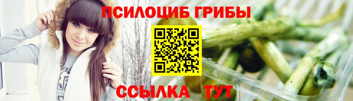 Кирово-Чепецк  Псилоцибиновые грибы мицелий  Вход с VPN 